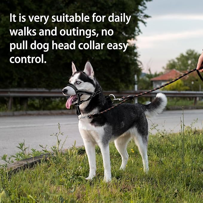 Dog Head Collar, Head Collar with Reflective Strap to Stop Pulling for Small Medium and Large Dogs, Adjustable (L, Orange)