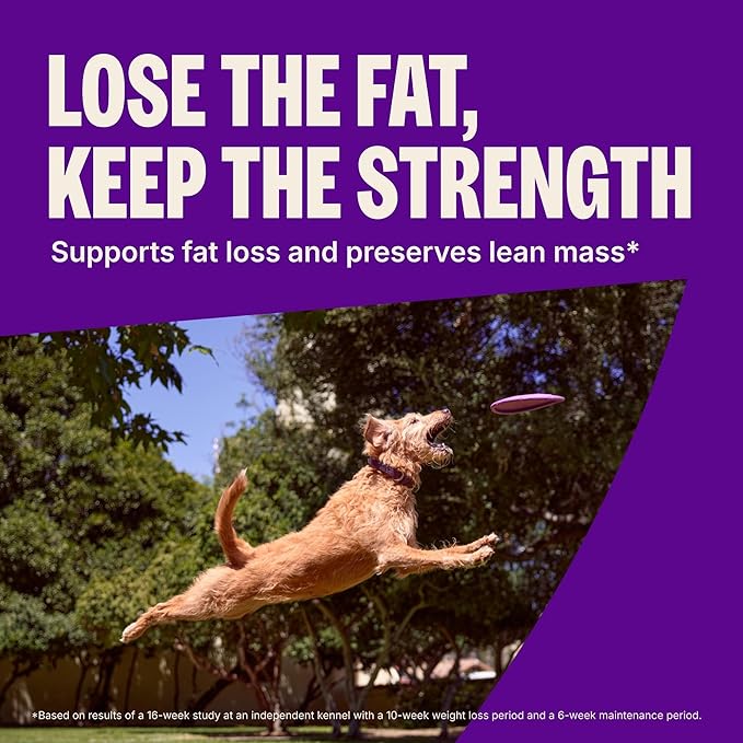 Wellness CORE Dry Dog Food, Grain-Free, High Protein, Natural, Healthy Weight Turkey & Chicken Recipe, (12-Pound Bag)