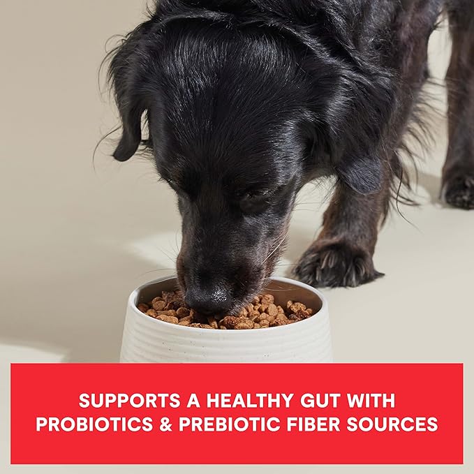 Open Farm, Epic Blend High Protein Dry Dog Food, Probiotic Coated & Bone Broth Infused Kibble with Air Dried Meat & Organs, Minimally Processed & Nutrient Dense, Beef & Superfood Recipe, 3.5lb Bag