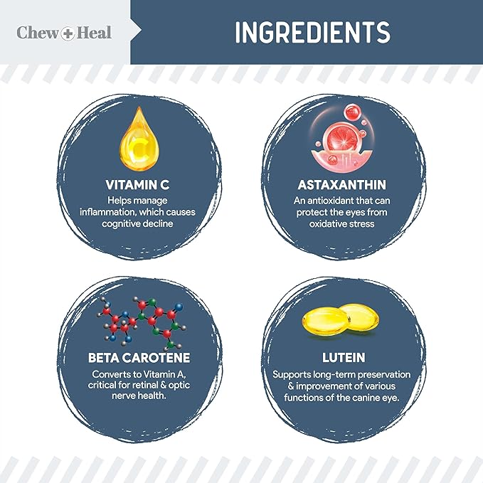 Chew + Heal Labs Senior Dog Vision and Cognition Chews - 60 Soft Chews for Dog Eye Care and Memory - 7-in-1 Multivitamin with Omega Fatty Acids, Vitamins, and Botanicals - Made in the USA