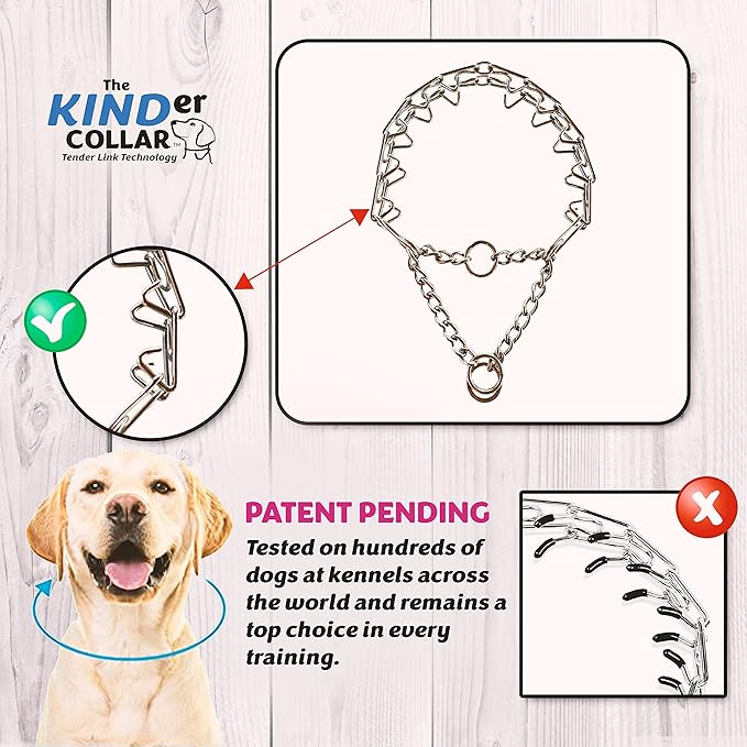 Best Dog Training Collar Adjustable Small to Medium Dog Breed (2.2 mm) Width Stainless Steel Best Alternative to Dog Collar (2.2 MM * Neck Size Up to 15")