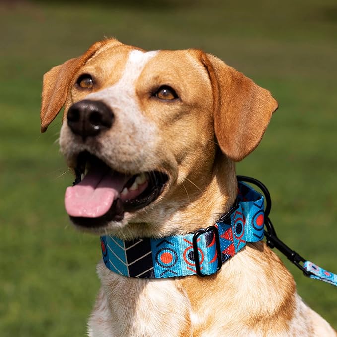 CollarDirect Aztec Martingale Collars for Dogs Heavy Duty Tribal Pattern Safety Nylon Training Collar Large Medium Small (Blue Ethnic, L, Neck Size 15"-20")