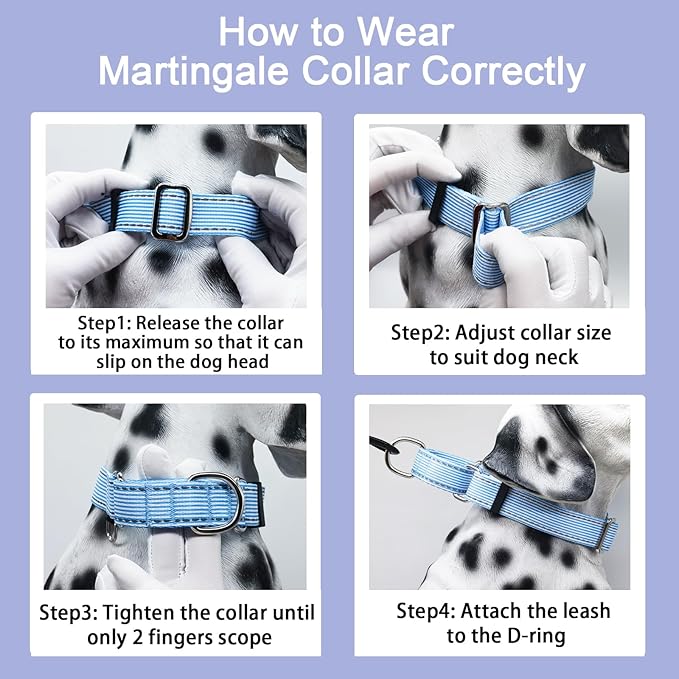 Reflective Martingale Collar for Dogs Nylon Training Collar with No Buckle, No Pull Escape Proof Dog Collar for Large Dogs（Blue Stripe，L）