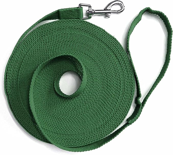 Downtown Pet Supply - Long Dog Leash - Dog Training Leash - Recall & Obedience Dog Training Tools - Nylon - 150 ft - Hunter Green Dog Leash