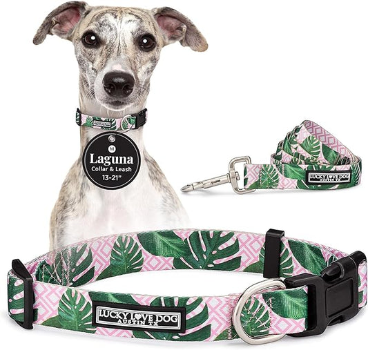 Lucky Love Dog, Tropical Matching Dog Collar & Leash Set, Soft & Comfy, Vivid Pink Color Collar and Leash for Female Male Dogs - (Medium, Laguna Combo)