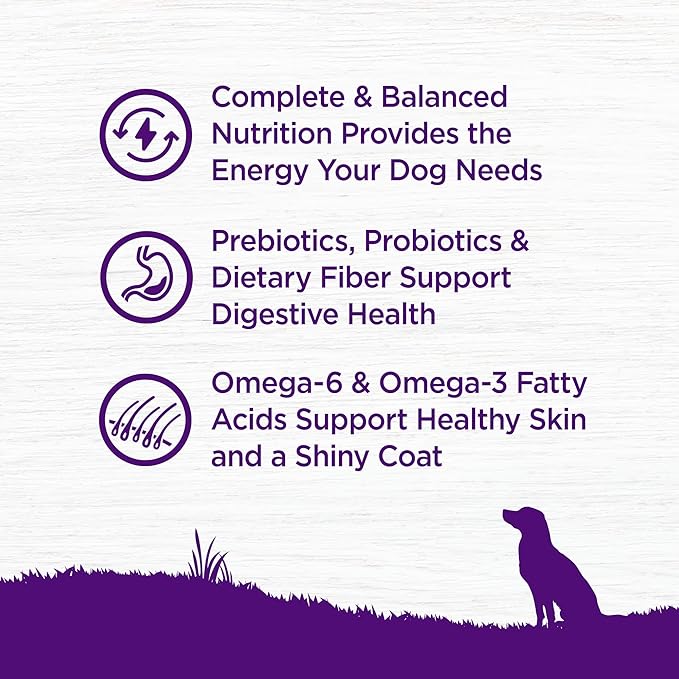 Wellness Complete Health Dry Dog Food, Wholesome Grains, Natural, Chicken & Oatmeal, (30-Pound Bag)