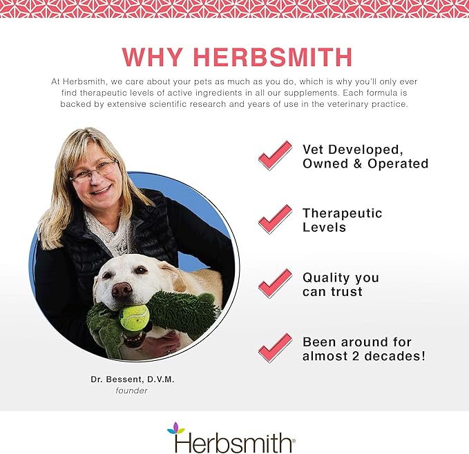 Herbsmith Senior Dog Wisdom – Dog Dementia Supplement – DHA for Senior Dog Brain Health - Senior Supplement for Dogs- 150g