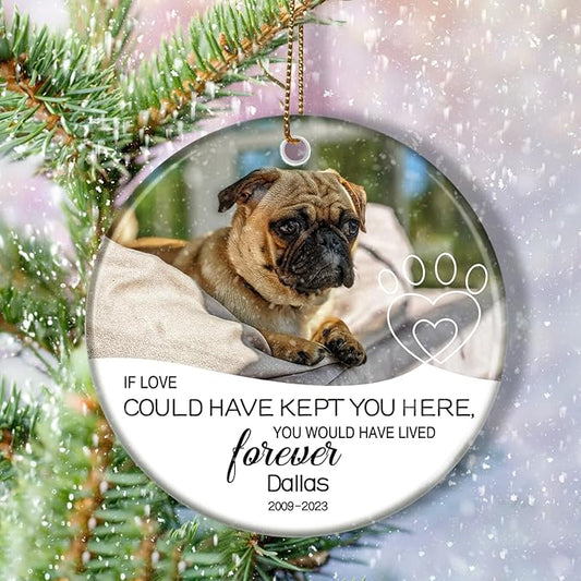 Pet Memorial Gift - Dog & Cat Loss Sympathy Gift, Pet Remembrance Ornament