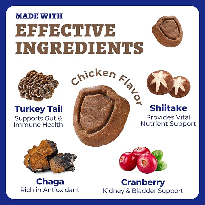 550 Bites Turkey Tail Mushroom for Dogs - Immune, Gut, Skin, Joint Health Mushroom Supplement for Dogs - Turkey Tail for Dog Chews with All Breeds & Sizes - Chicken Flavor Dog Supplements