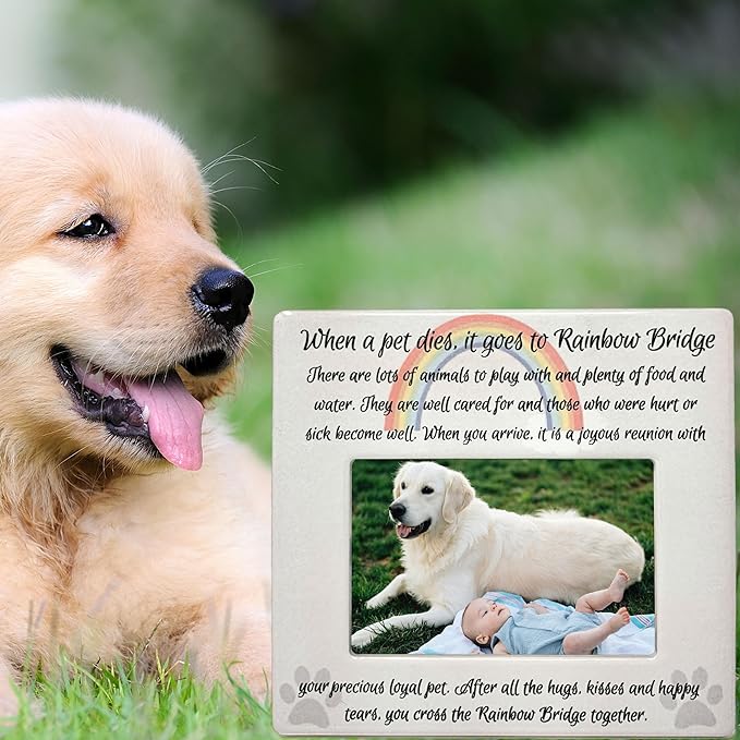 BANBERRY DESIGNS Pet Memorial 4x6 Picture Frame - Rainbow Bridge Message - Bereavement Photo Plaque for Dog or Cat - in Memory of a Pet - Pet Sympathy Gift