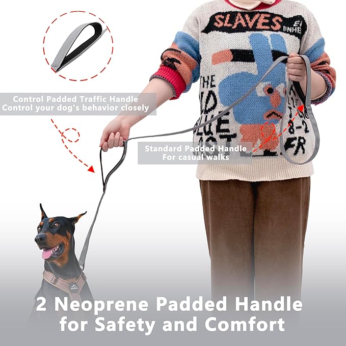Dog Leash 4ft Long, Double Handle Dog Leash for Safety Control Training, Heavy Duty Dog Leads with Traffic Padded Handles, Reflective Leashes for Small Medium Large Dogs(4ft, Grey)