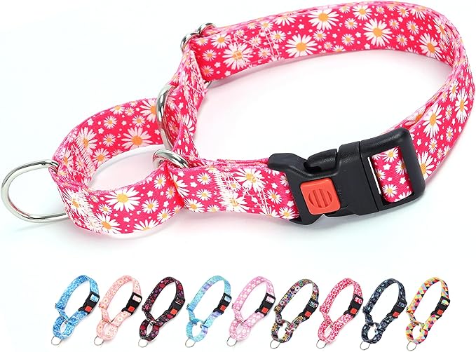 Martingale Collar for Dogs, Rose Daisy Flowers Dog Collar for Small Medium Large Dogs, Adjustable Girl Dog Collars with Quick-Release Buckle for Training, Walking, Hunting (L)