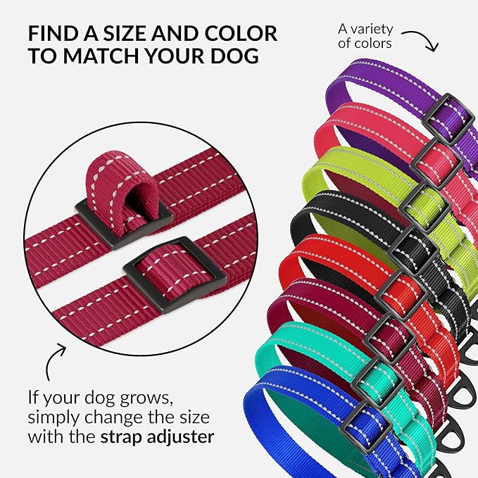 CollarDirect Reflective Martingale Dog Collar Nylon Heavy Duty Training Pet Collars for Small Medium Large Dogs Puppy Black Blue Mint Green Red Pink Purple Dark Red (S, Neck Size 11"-15", Dark Red)