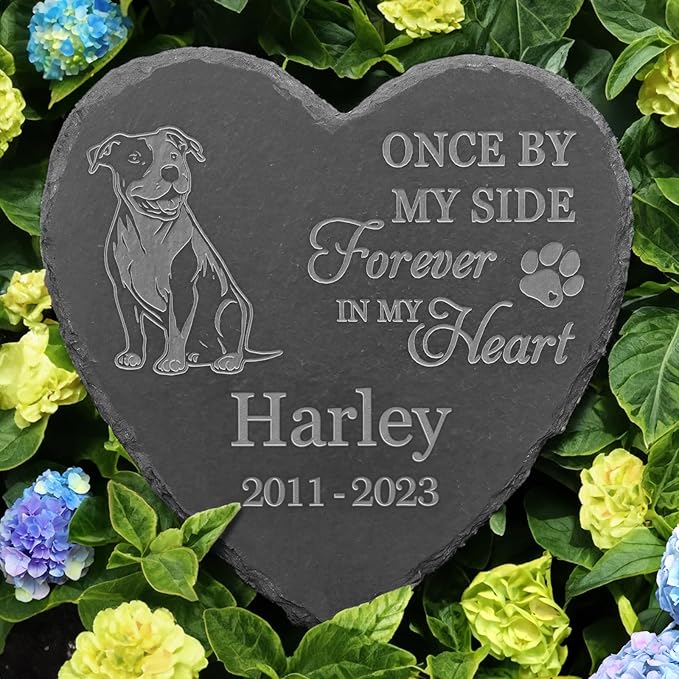 Pit Bull Memorial, Pit Bull Grave Stone, Pit Bull Passed Away, in Memory of Pit Bull