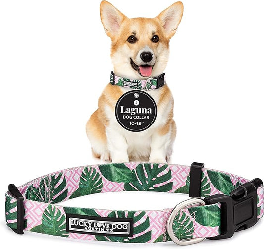 Lucky Love Dog - Adjustable Dog Collar with Easy Click Buckle for Small Dogs, Durable, & Comfortable for Male & Female Dogs, Pet Collar for Puppies & Adult Dogs - Laguna, Small