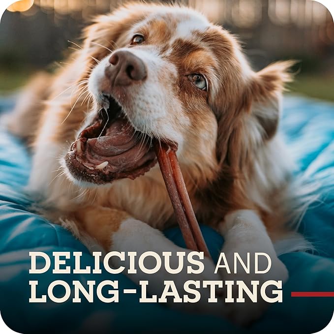Redbarn Pet Products All Natural 8"-12" Braided Bully Sticks for Medium & Large Dogs - Healthy Long Lasting Beef Chews Variety Party Pack - Single Ingredient Low Odor Rawhide Free - 1 lb Bag