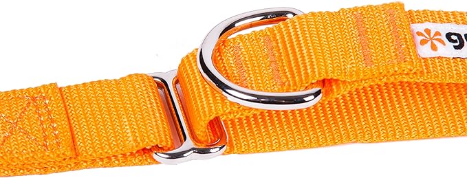 GOGO Pet Products 3/8-Inch Martingale Dog Collar, X-Small, Orange