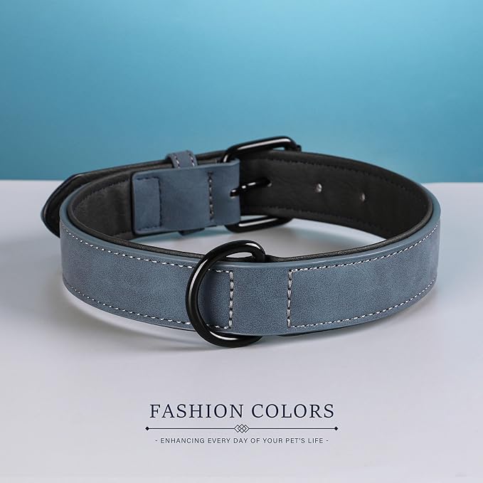 Didog Soft Padded PU Leather Dog Collar, Breathable and Adjustable Dog Collars for Small Dogs, Comfortable for Daily Walk, Blue, M Fit Neck 11-14"(10-20 lbs)