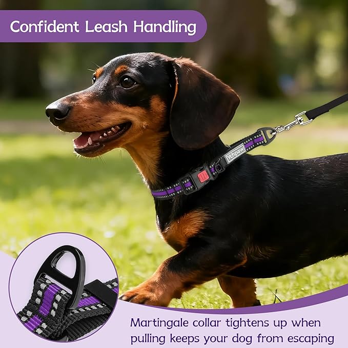 Martingale Collar for Dogs Reflective Collar with Quick Release Buckle, Adjustable Nylon Collars for No Slip Dog Collar, Purple, S