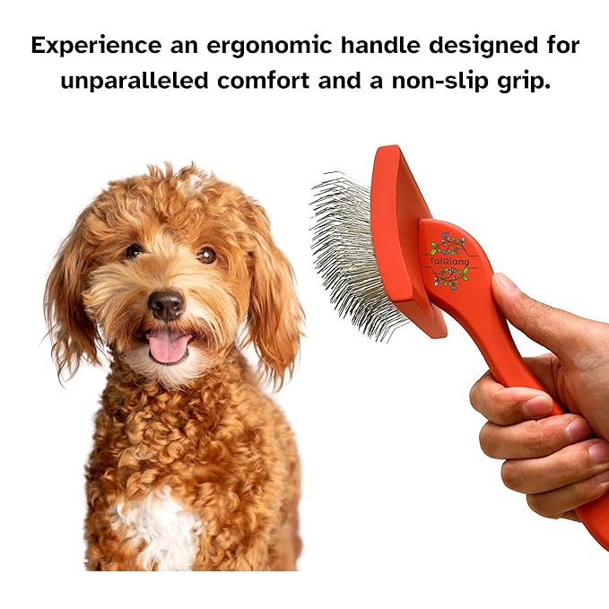 Professional Grooming Large Slicker Brush for Dematting Goldendoodles, Labradoodles, Poodles - Long Stainless Steel Pins for Thick Coats, Red - [TaiQiang]