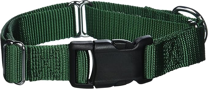 GOGO Pet Products Martingale Gentle Training Collar, Medium/Large, Hunter Green