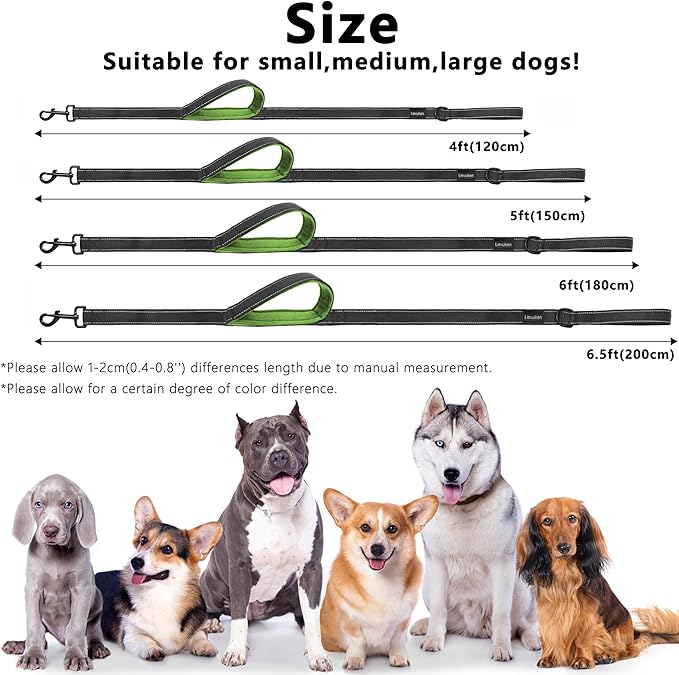 Dog Leash 6ft Long, Double Handle Dog Leash for Safety Control Training, Heavy Duty Dog Leads with Traffic Padded Handles, Reflective Leashes for Small Medium Large Dogs(6ft, Black Green)
