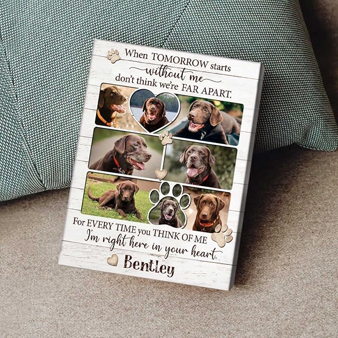 Benicee Shop In Memory Of Pet Memorial Photo Collage, Personalized Dog Loss Gift, Sympathy Gifts for Pet Lovers, Changing Colorful Background to Paint Loving Memory, Ideal Cat Mom Gifts (BG2)