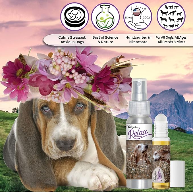The Blissful Dog Basset Hound Dog Relax Roll-ON Aromatherapy for Dogs - Anxiety Relief for Dogs