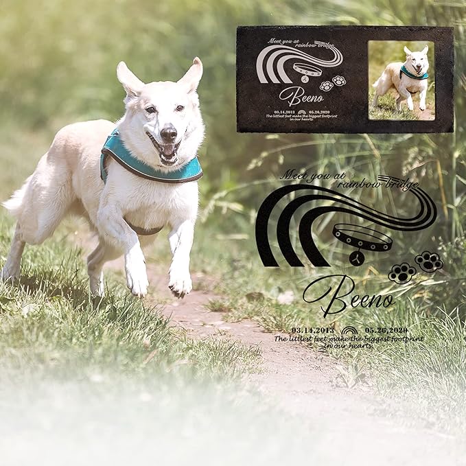 Fanery Sue Custom Cat Memorial Stones with Full Color Image, Dog Memorial Gift Garden Stones, Pet Grave Markers Personalized, All-Natural Memorial Headstone for Pet