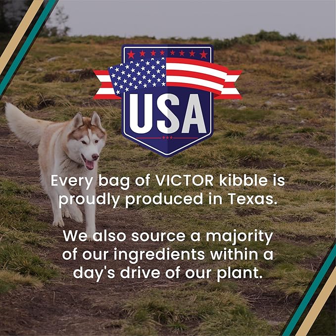 VICTOR Super Premium Dog Food – Hi-Pro Plus Dry Kibble – High Protein Dog Food with 30% Protein – Beef, Chicken, Pork, Fish Meals, Gluten Free - for High Energy and Active Dogs & Puppies, 5lbs