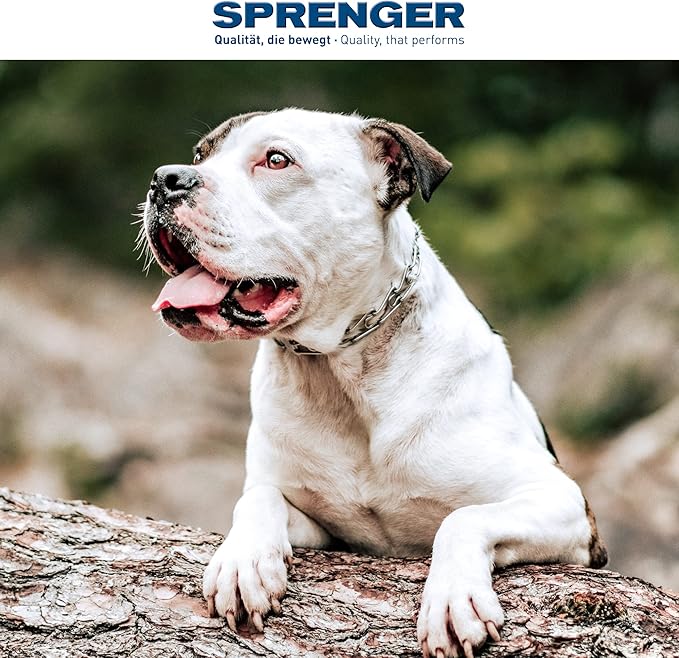 Herm Sprenger Dog Training Prong Collar with Swivel D-Ring, 3 Extra Links, 30 Comfort Tips for Small Medium Large Dogs Stainless Steel No-Pull Collar Made in Germany (Small-Medium)
