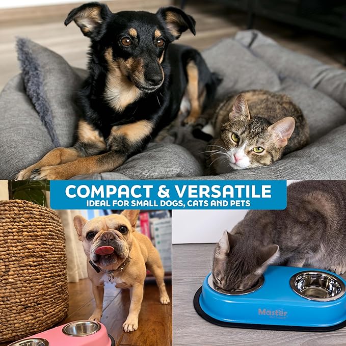 Master Pet Supply Double Dog Bowls Set with Elevated Base and 2 (8 oz) Stainless Steel Removable Dishes (Glacier Blue) – Double Cat Food Water Bowl, Dog Puppy Food Bowl Set, Rust Resistant