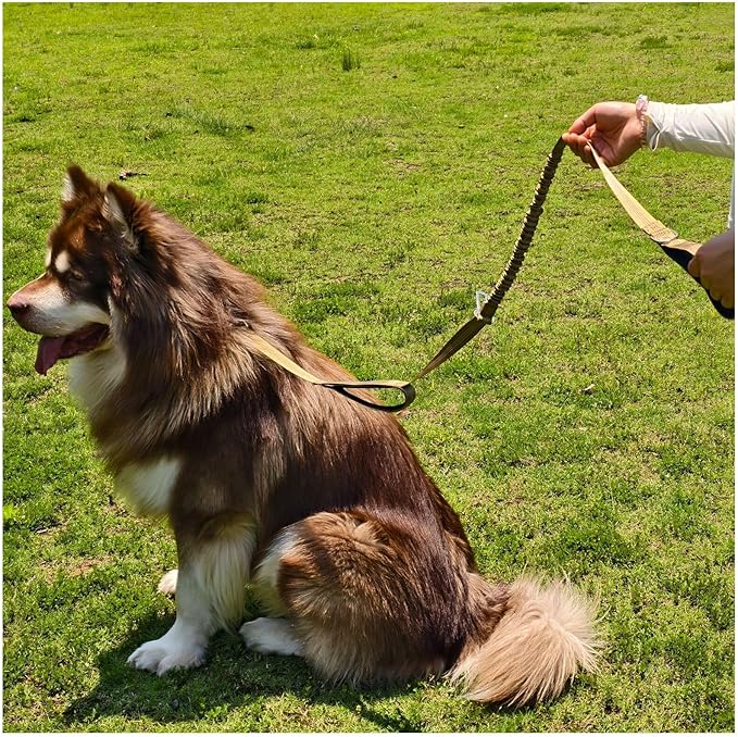 5FT Double Handle Tactical Dog Leash with Shock Absorption, Reflective Heavy Duty Bungee Dog Leash for Medium Large Dogs No Pull Walking Training, Coyote Brown