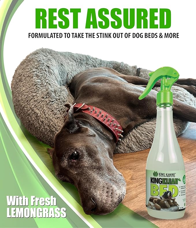 King Kanine Pet Odor Eliminator for Home - King Klean Natural Dog Odor Eliminator - Dog Deodorizing Spray for Indoor and Outdoor Areas - Hypoallergenic Gentle Cleansing Formula - 12 oz