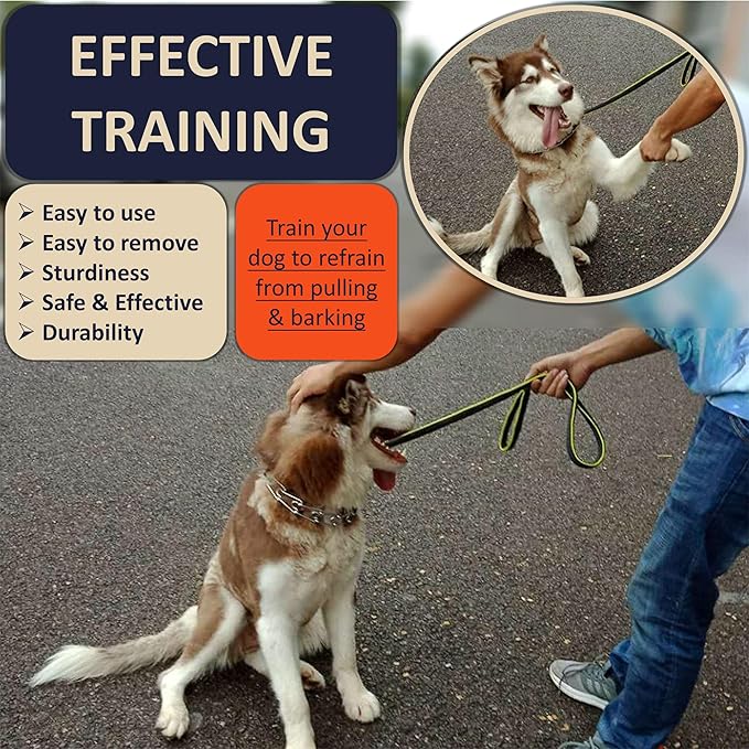 Quick Release Dog Training Collar Adjustable Stainless Steel Collar for Small Medium Large Dog (Pink, XL Neck Girth 16.9"-22.2")