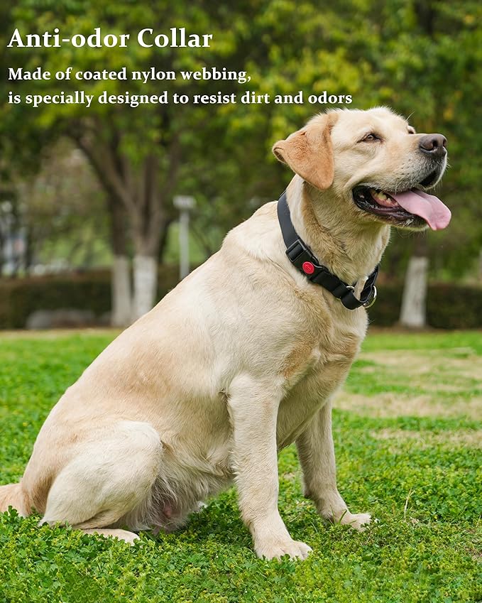 Waterproof Martingale Collar for Dogs,Easy to Clean Dog Collars with Safety Quick Release Buckle,Rubber Collar for Medium Large Dogs Walking Training (Black, M (16.5-20.8inch))