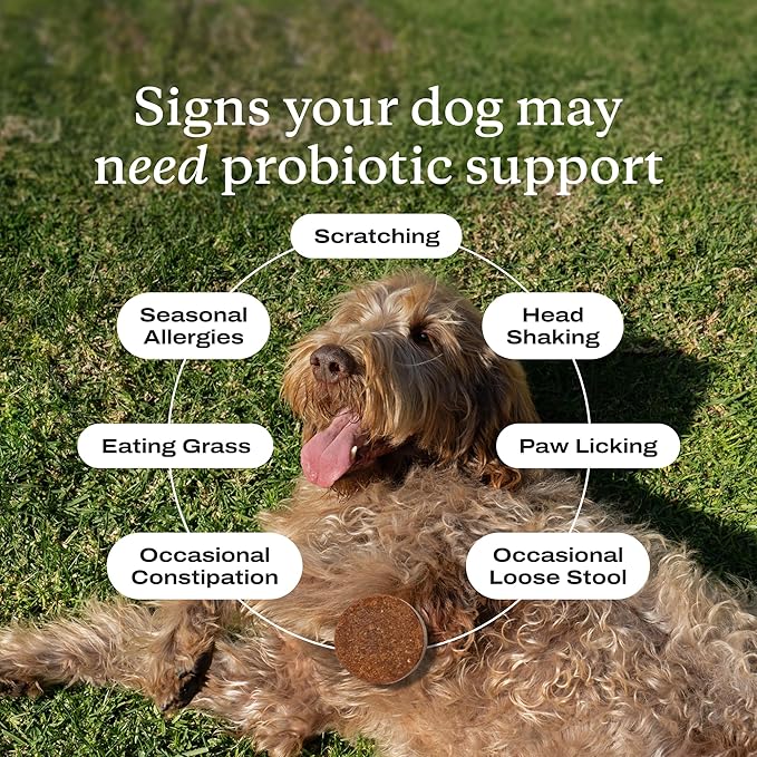 PetLab Co. Probiotics for Dogs, Support Gut Health, Occasional Diarrhea, Digestive Health & Seasonal Allergies - Pork Flavor - 30 Soft Chews - Packaging May Vary (Value 2-Pack)