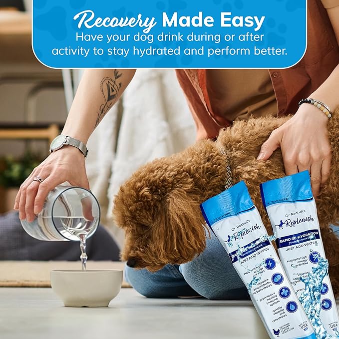 Replenish Dog Recovery Water Supplement – Pedialyte for Dogs Hydration Drink & Water Additive - Electrolytes for Dogs Hydration Supplement – 10 Packets Count