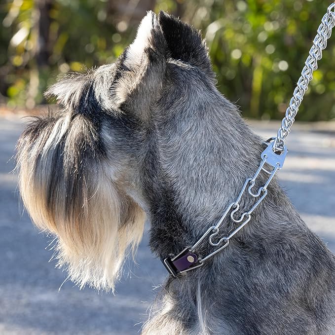 Herm Sprenger Chrome Plated Steel Dog Collar with Quick Release ClicLock Buckle and Biothane Insert Training Collar for Dogs Made in Germany (Violet Purple, 22in x 3.0mm(Neck Size up to 18-19in))