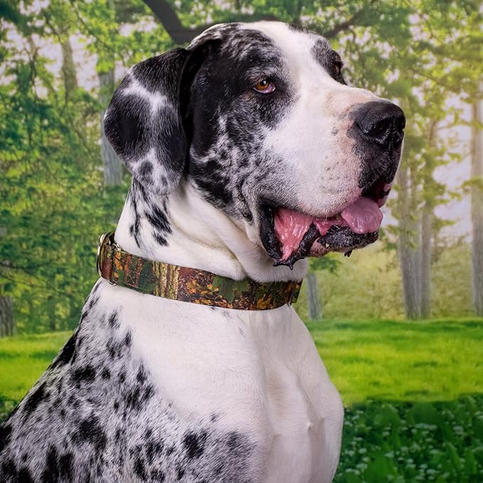 Country Brook Petz - Southern Forest Camo Martingale Dog Collar - Camouflage Collection Featuring Rugged Designs (5/8 Inch, Small)