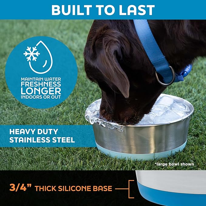 Master Pet Supply Stainless Steel Dog Bowls Set of 2 with Extra Thick Silicone Base - 8 Cup (64 oz) Mango Tango, Non-Slip, Dishwasher Safe Metal Bowls, Pet Dog Food Bowl for Dogs, Cats, Anti Rust