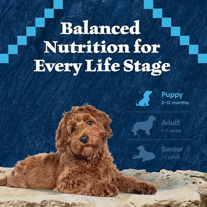 Blue Buffalo Wilderness High-Protein Natural Dry Food for Puppies, Salmon Recipe, 24-lb. Bag