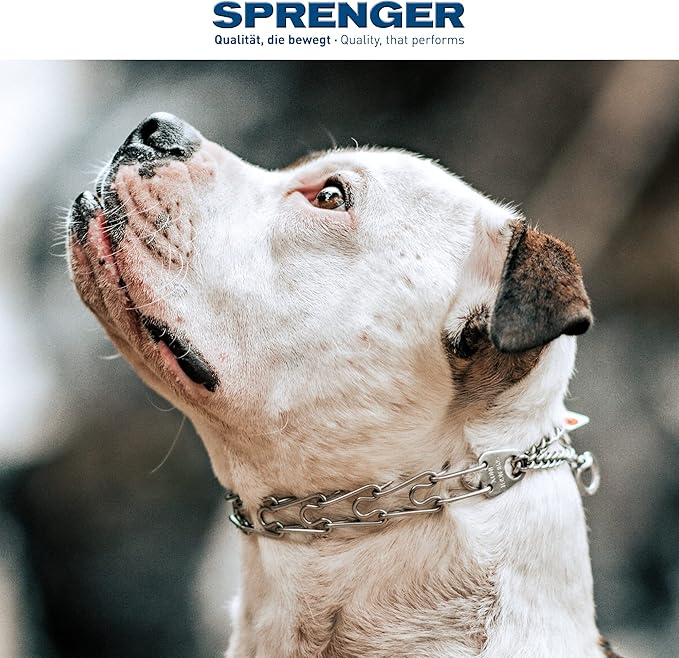 Herm Sprenger Dog Training Prong Collar with Swivel D-Ring, 3 Extra Links, 30 Comfort Tips for Small Medium Large Dogs Stainless Steel No-Pull Collar Made in Germany (Small-Medium)