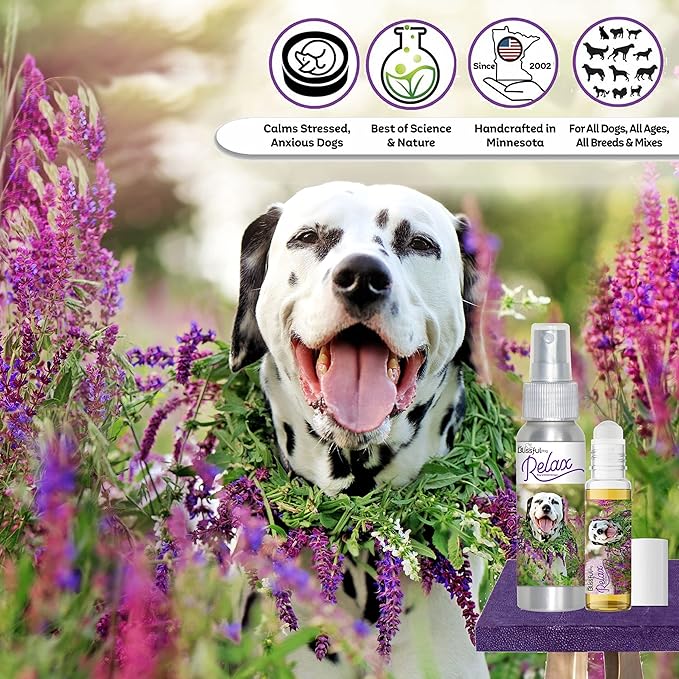 The Blissful Dog Dalmatian Relax Roll-ON Aromatherapy for Dogs - Anxiety Relief for Dogs