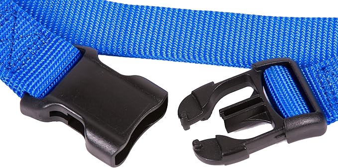 GOGO Pet Products 3/4-Inch Martingale Dog Collar, Medium, Blue
