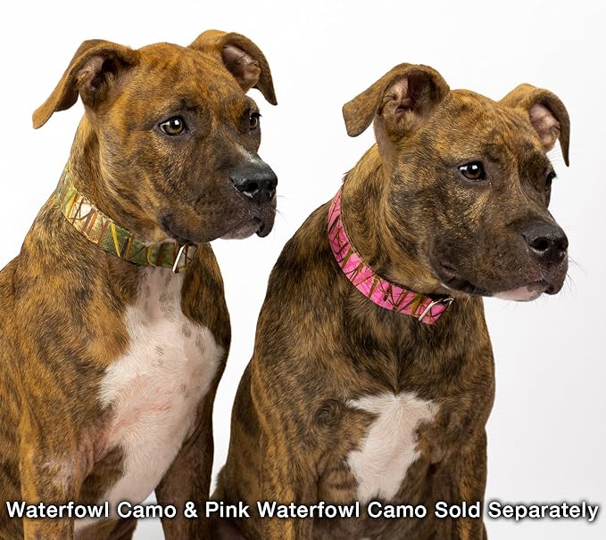 Country Brook Petz - Waterfowl Camo Martingale Dog Collar - Camouflage Collection Featuring Rugged Designs (1 Inch, Large)