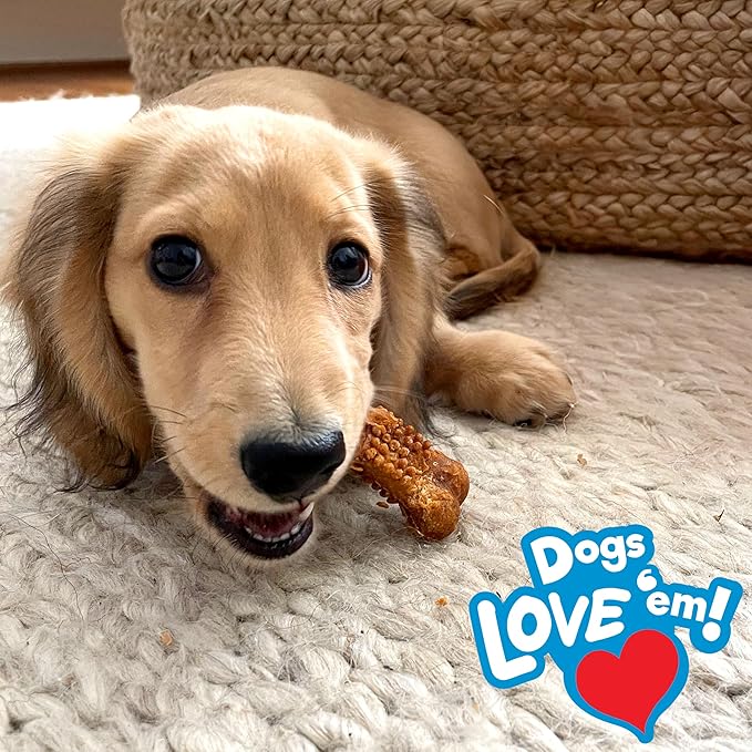 Nylabone Nubz Natural Dog Chew Treats for Puppies, Long Lasting Dog Bones Made in USA, Puppy Training Treats, Turkey & Sweet Potato Flavor, for Puppies Up to 25 lbs. (28 Count)