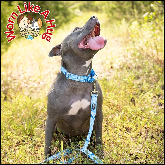 Country Brook Petz - Blue Bone Camo Martingale Dog Collar - Camouflage Collection Featuring Rugged Designs (1/2 Inch, 2XS)