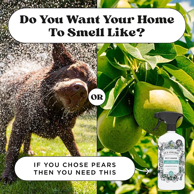 Pet-Pourri Pawsitively Fresh Pet Odor Deodorizer Spray, 16 Fl Oz, Up to 800 Uses, Air + Fabric Odor Remover with Essential Oils & Plant Based Ingredients, Vet Recommended, Pineapple, Jasmine & Pear