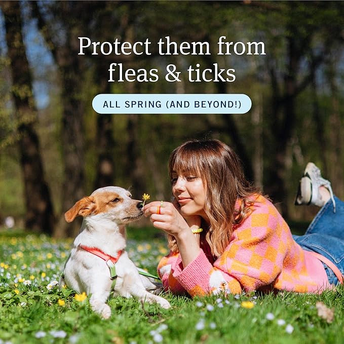 PetArmor Plus Flea and Tick Prevention for Dogs, Large Dog Flea and Tick Treatment, 6 Doses, Waterproof Topical, Fast Acting (45-88 lbs)